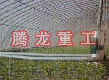 大棚花卉供暖設(shè)備、大棚卉采暖設(shè)備、大棚花卉取暖設(shè)備