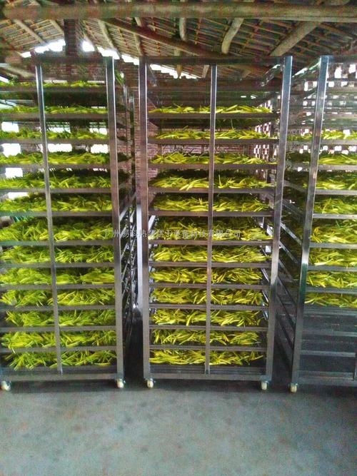 黃花菜烘干機(jī)、黃花菜烘干設(shè)備、黃花菜干燥機(jī)、黃花菜干燥設(shè)備、